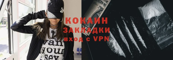 ГАЛЛЮЦИНОГЕННЫЕ ГРИБЫ Арсеньев