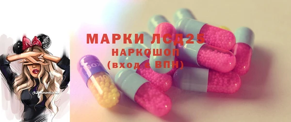ГАЛЛЮЦИНОГЕННЫЕ ГРИБЫ Арсеньев