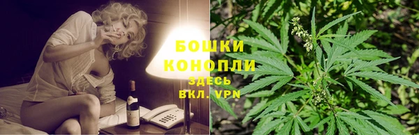 ГАЛЛЮЦИНОГЕННЫЕ ГРИБЫ Арсеньев